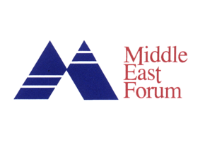 Large mef logo1